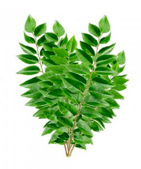 Fresh Curry Leaves (Kari Patta)