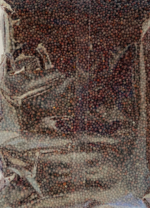 Cloves Whole – 100 g